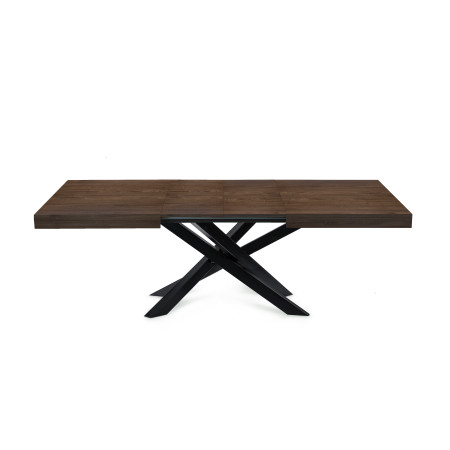 Extendable Table with Orion...