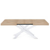 Table Extensible Avia avec Pied de Table Orion 140x90x79 cm