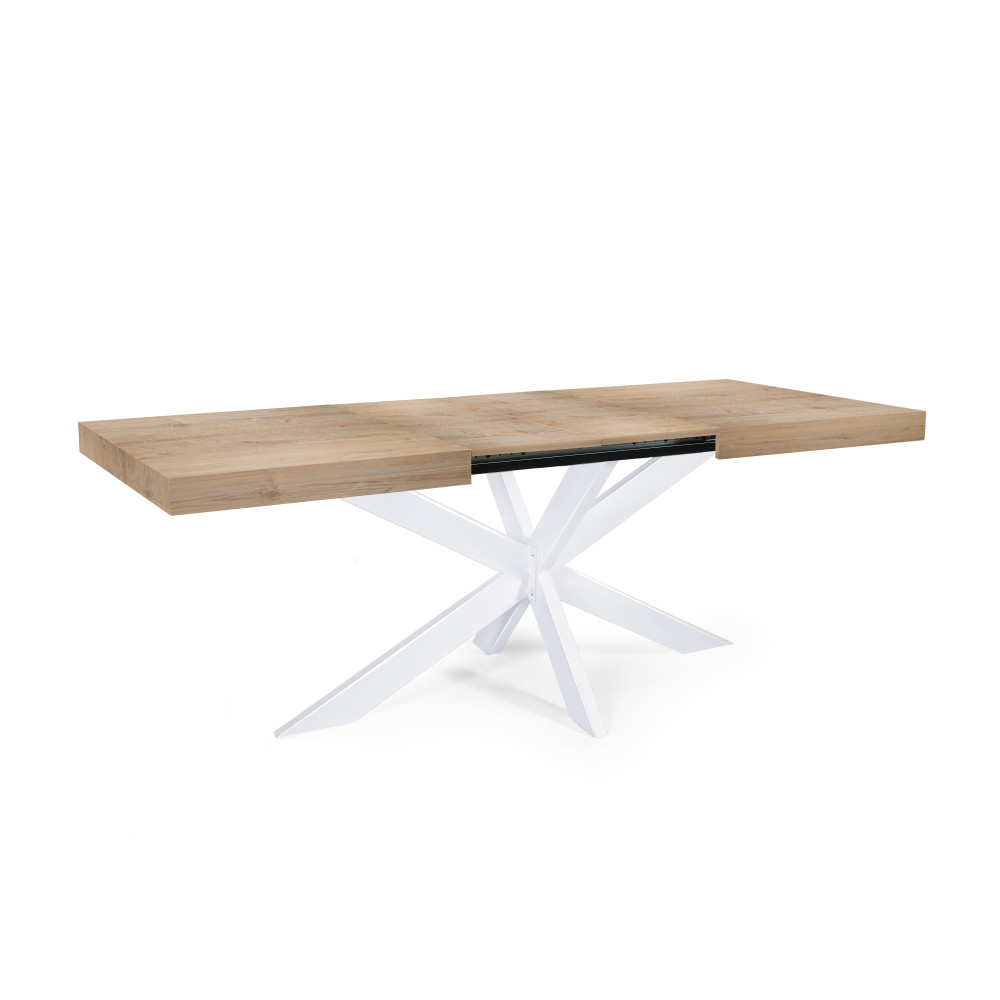 Table Extensible Avia avec Pied de Table araignée 140x90x79 cm