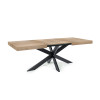 Table Extensible Avia avec Pied de Table araignée 140x90x79 cm