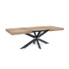 Table Extensible Avia avec Pied de Table araignée 140x90x79 cm