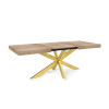 Table Extensible Avia avec Pied de Table araignée 140x90x79 cm