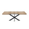 Table Extensible Avia avec Pied de Table araignée 140x90x79 cm