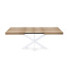 Table Extensible Avia avec Pied de Table araignée 140x90x79 cm