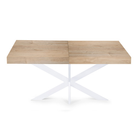 Table Extensible Avia avec Pied de Table araignée 140x90x79 cm