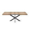 Table Extensible Avia avec Pied de Table araignée 140x90x79 cm