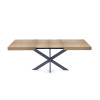 Table Extensible Avia avec Pied de Table araignée 140x90x79 cm