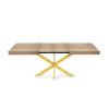 Table Extensible Avia avec Pied de Table araignée 140x90x79 cm