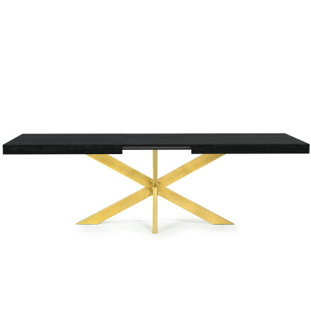 Table Extensible Avia avec Pied de Table araignée 140x90x79 cm