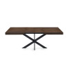 Extendable Table with Spider Table Leg Avia 140x90x79 cm