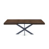 Extendable Table with Spider Table Leg Avia 140x90x79 cm