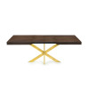 Extendable Table with Spider Table Leg Avia 140x90x79 cm