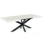 Table Extensible Avia avec Pied de Table araignée 140x90x79 cm