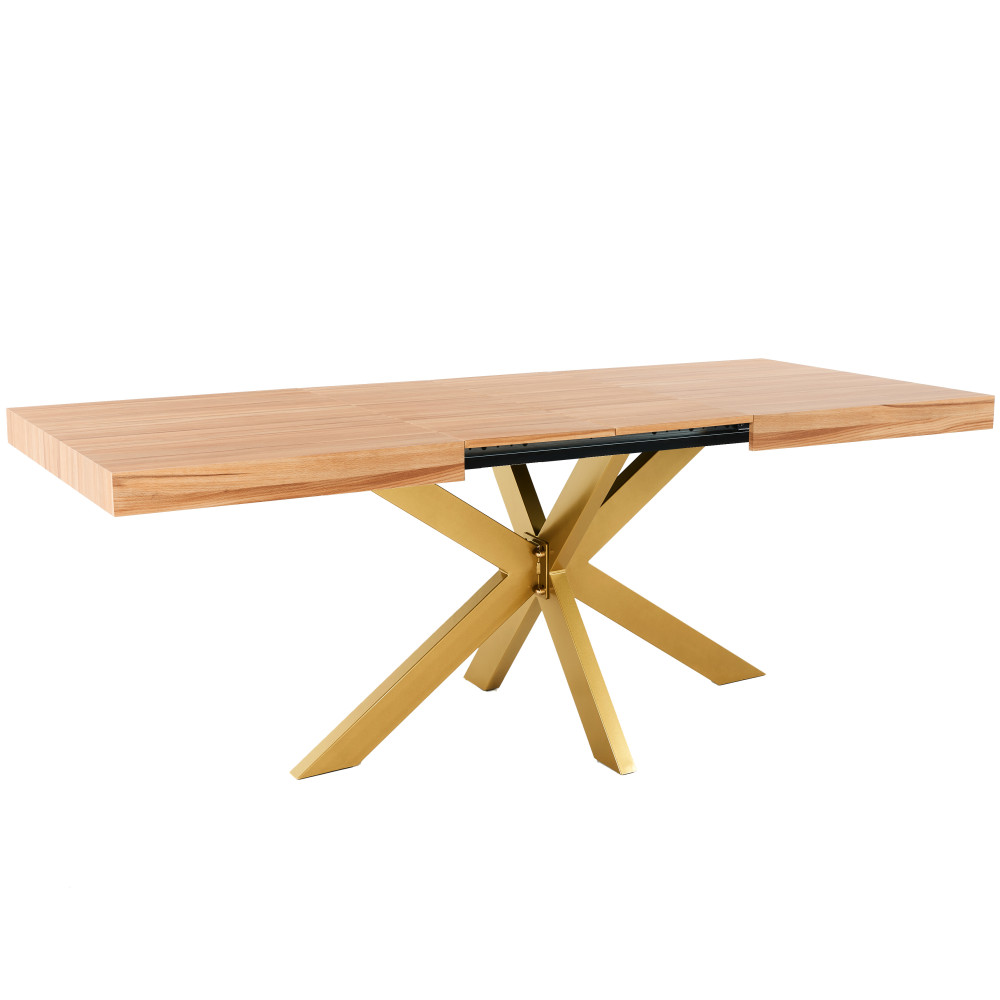 Table Extensible Avia avec Pied de Table araignée 140x90x79 cm