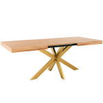 Table Extensible Avia avec Pied de Table araignée 140x90x79 cm