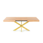 Table Extensible Avia avec Pied de Table araignée 140x90x79 cm