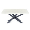 copy of Extendable Table with Spider Table Leg Avia 140x90x79 cm