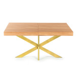 Extendable Table with Spider Table Leg Avia 140x90x79 cm